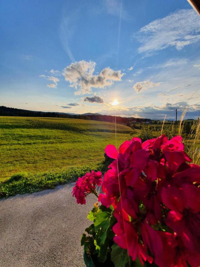 Apartma Sveti Duh Nova Vas  Dış mekan fotoğraf